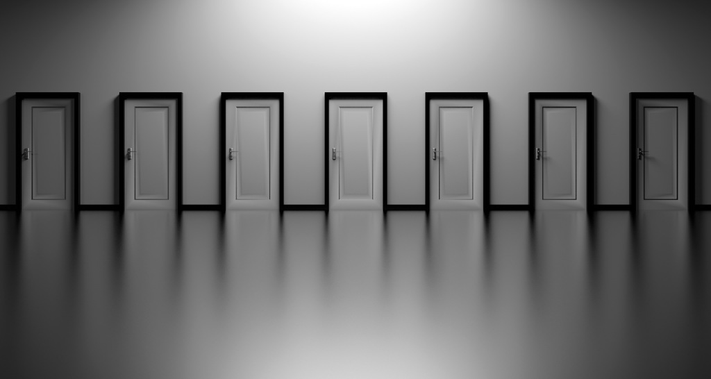 salidas profesionales